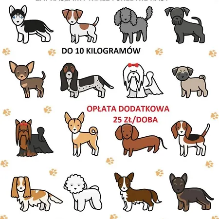 Casa vacanze Moja Debina Lux 2, Dom Z Pokojem Dziennym, Dwiema Sypialniami I Widokiem Na Las, Blisko Plazy