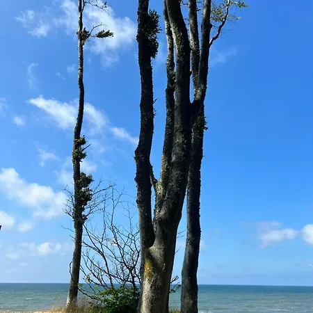 Moja Debina Lux 2, Dom Z Pokojem Dziennym, Dwiema Sypialniami I Widokiem Na Las, Blisko Plazy