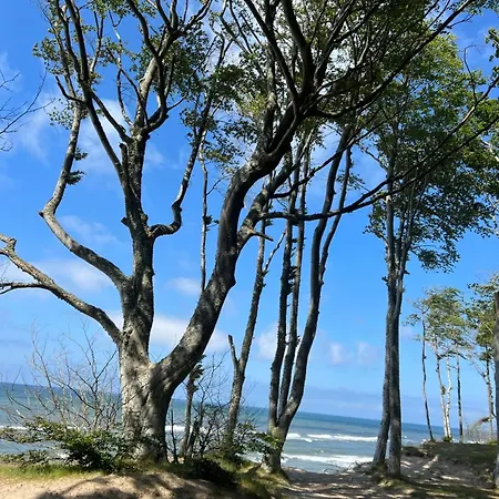 Moja Debina Lux 2, Dom Z Pokojem Dziennym, Dwiema Sypialniami I Widokiem Na Las, Blisko Plazy Prázdninový dům *