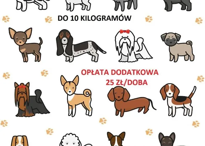 Dom wakacyjny Moja Debina Lux 2, Dom Z Pokojem Dziennym, Dwiema Sypialniami I Widokiem Na Las, Blisko Plaży