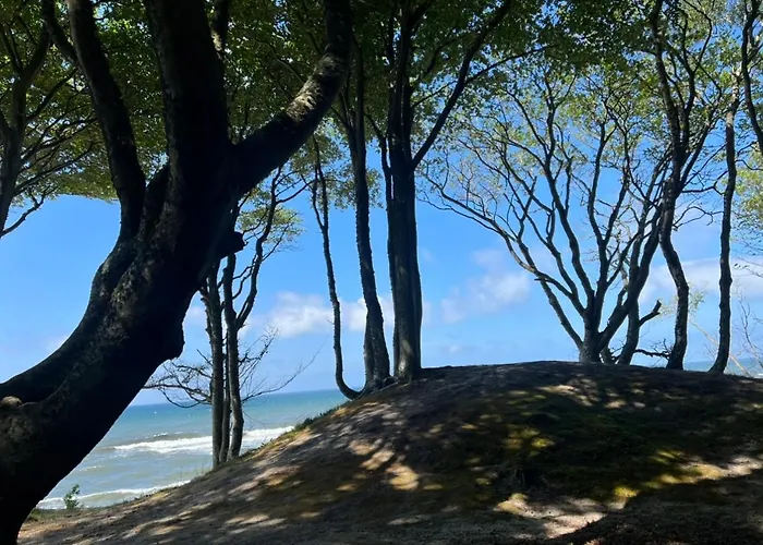 Moja Debina Lux 2, Dom Z Pokojem Dziennym, Dwiema Sypialniami I Widokiem Na Las, Blisko Plaży Debina (Ustka)