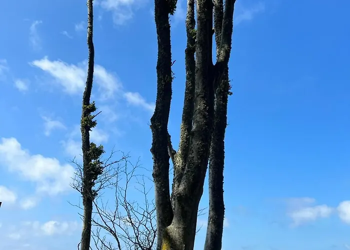 Moja Debina Lux 2, Dom Z Pokojem Dziennym, Dwiema Sypialniami I Widokiem Na Las, Blisko Plaży