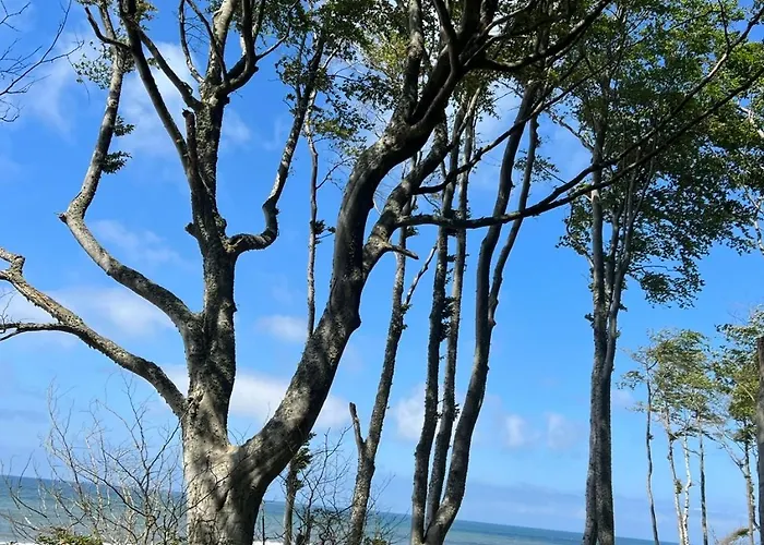 Moja Debina Lux 2, Dom Z Pokojem Dziennym, Dwiema Sypialniami I Widokiem Na Las, Blisko Plazy Сasa de vacaciones *
